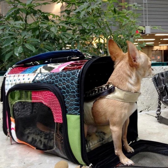 Meet your Posher, Michelle - Picture 6 of 9